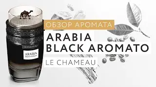 Обзор аромата Arabia Black Aromato Le Chameau