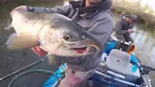 Olympic Peninsula Fall Salmon Fishing