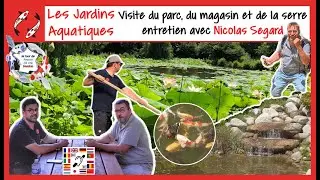 Meet at les Jardins Aquatiques: Park, Shop, Greenhouse & Ponds with Koi Carps (garden pond)