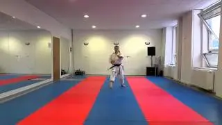 TAYKYOKU kata
