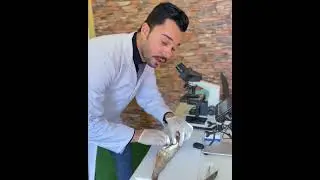 الفسيخ تحت الميـ ـكروسكوب