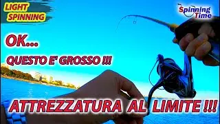 LIGHT SPINNING - OK.. QUESTO E' GROSSO - ATTREZZATURA AL LIMITE - CHI VINCERA'?
