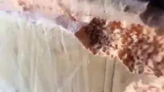 Экструдированный пенополистирол и муравьи