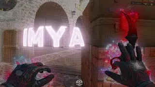 IMYA - 9MICE