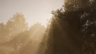 Natural Aesthetics in UE5 - Part 5.1 - Dynamic Outdoor Lighting