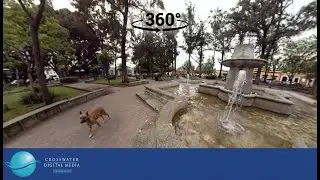 VR/360 : Conzatti Garden - Oaxaca, Mexico