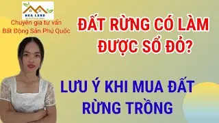 Đất rừng có sổ đỏ không? Các lưu ý khi mua bán đất rừng trồng?