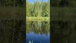 #нашелето #природа #врекомендации