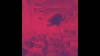 BLITZ (feat. aaangvlz)
