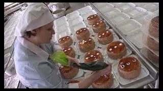 Инженер-Технолог