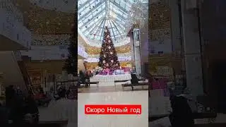 Все уже к Новому году украшают