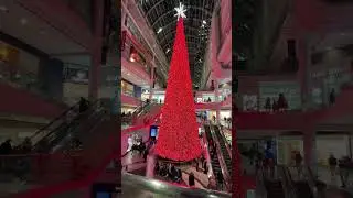 Biggest Christmas Tree in North America- Eaton Centre #toronto #shorts #viralshorts #viral
