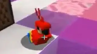 **VOLUME WARNING** Parrot Listens to a Banger