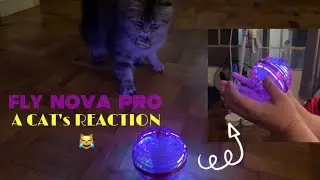 FLY NOVA PRO BALL TOY | How would our CAT react must watch!
