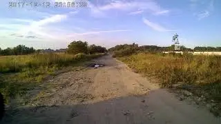 травимся
