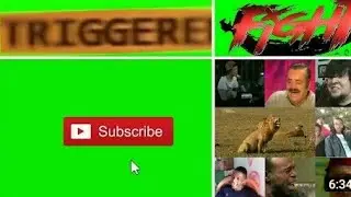Copyright Free 100 Green Screen Effects | Download All In One Zip