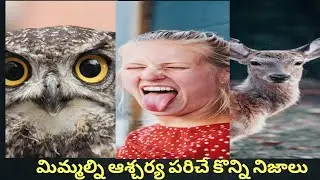 facts that you should know about it| latest facts 2021|