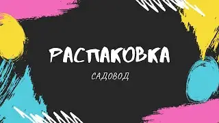 Закупка на Садоводе. Ожидание - реальность. Поставщики. Цены