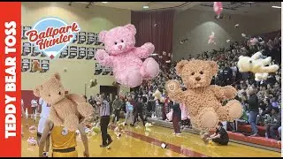 Best Teddy Bear Toss Game