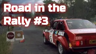 Road in the Rally #3 | Dirt Rally 2.0 | Logitech G25