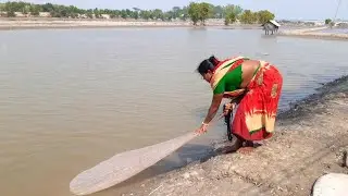 Amazing Fishing || Traditional Net Cast Fishing Catching Fish By Beautiful Village Girl