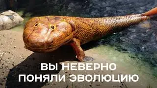 Вся эволюция жизни за 23 минуты