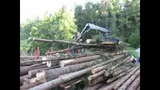 Forstanhänger AGT 6000   auch ohne Rotator für Anfänger geeignet II