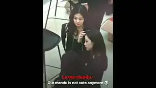 Other members anger vs Our mandu anger 🔥 #blackpink #blinkies #blackpinkedit #kpop #kpopedit #edit