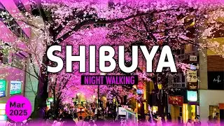 【Shibuya】 Let's see the night cherry blossoms in Shibuya | 4K Night Walk 2025