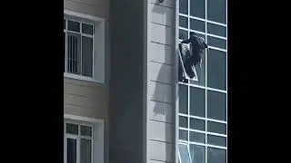 Ребенка, висящего на карнизе балкона 8 этажа, спас сосед.