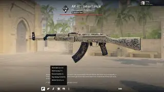NEW CS2 UPDATE! Rentable Items! Gamma Doppler Changes and MORE!