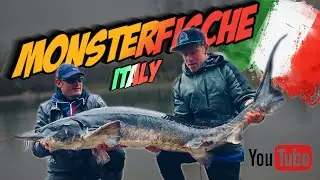 MONSTER-Störe aus Italien. Angeln auf Störe