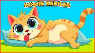 MİNİK KEDİM ŞARKISI | En Komik Kedi Videoları Komik Kediler Şarkısı