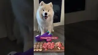 Who said your fur-baby couldn’t get you a Mother’s Day present?! 
