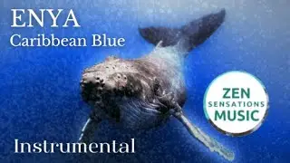 Enya Caribbean Blue Instrumental - IN THE SEA - sleep quietly and relax with #enya #caribbeanblue