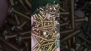 Beautiful Bolt 