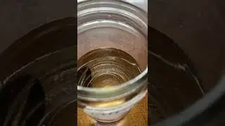 Очистка Пиявок после процедуры .. и зачем это нужно.