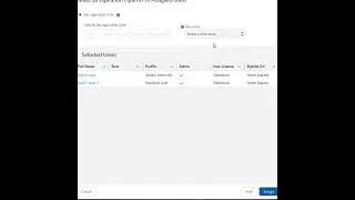 How to assign a permission set to the user for a limited period in an org?