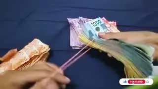 ASMR PHILIPPINE PESOS ( PHP ) SORT AND COUNT-  Let us Sort and count 134.810 PHP