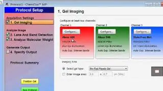 Muti-Fluorescent Imaging with Bio-Rad's Image Lab Software