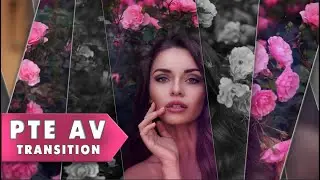 "Minimal" Free  transition for PTE AV