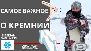 Органический кремний Сибирское Здоровье