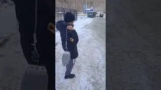 бобик но это чайник #рекомендации