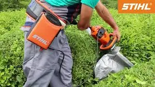 Аккумуляторный кусторез STIHL НSA 66