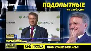 Сбер Банк Секта? Принудительная вокцинация?! С чего бы это?!