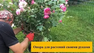 Опора для растений своими руками