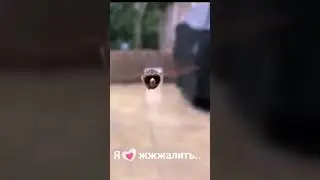 😃Смешные видео 2021 😁новинки 2021