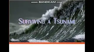 Excel 7 module 7 p76 Surviving a Tsunami Video