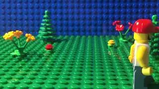 Walking Test