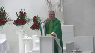 Santa Misa Miércoles de la XXII semana del Tiempo ordinario